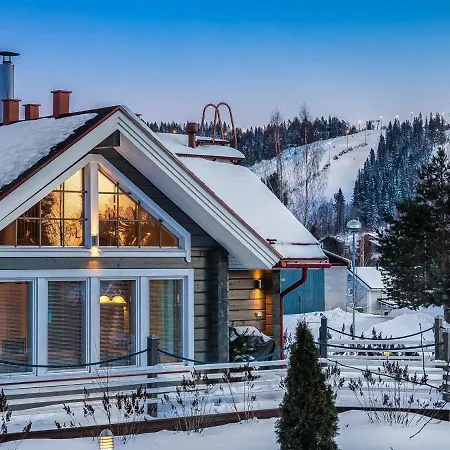 Akavilla 2 By Interhome * Jämsä